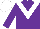 Silk - purple, white v, white cap