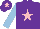 Silk - Purple, pink star, light blue sleeves, purple cap, pink star