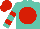 Silk - Turquoise, red disc, red bars on sleeves, red cap