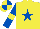 Silk - yellow with royal blue star, royal blue sleeves with yellow armlets, yellow cap with royal blue quarters