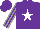 Silk - Purple, white star, grey stripes on sleeves, purple cap