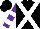 Silk - Black, white cross sashes on front, white hoops on purple sleeves