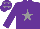 Silk - Purple, grey star, purple sleeves, purple, grey stars cap