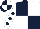 Silk - Dark Blue and White quartered, White sleeves, Dark Blue spots, dark blue and white quartered cap