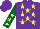 Silk - Purple, yellow stars, dark green sleeves, yellow stars