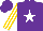 Silk - Purple, white staR, gold stripes on white sleeves, purple cap