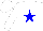 Silk - White, blue star, white sleeves