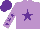 Silk - Mauve, purple star, mauve sleeves, purple stars and cap