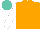 Silk - Orange, white sleeves, turquoise cap, white peak