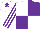 Silk - White and purple (quartered), striped sleeves, white cap, purple star