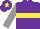 Silk - Purple, yellow hoop, grey sleeves, purple cap, yellow star