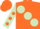 Silk - Orange, large Light Green spots, Light Green sleeves, Orange spots