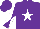 Silk - Purple, white star, diabolo on sleeves