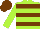Silk - Lime Green body,  chocolate hooped, lime green arms,chocolate cap