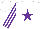 Silk - White, purple star, purple stripes on sleeves