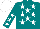 Silk - Teal, white stars, white star stripe on sleeves, white cap