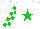 Silk - White, green star,  green and white blocks on sleeves