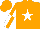 Silk - Orange, white star, white and orange quartered sleeves