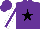 Silk - Purple, black star, purple stripe on white sleeves