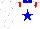 Silk - White, blue star, blue collar, red epaulets