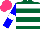 Silk - Dark green, white hoops, blue sleeves with white armbands, hot pink cap
