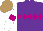 Silk - Purple, violet diamond hoop, white sleeves with violet armbands, light brown cap