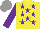 Silk - Yellow, purple stars, sleeves, grey cap