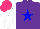 Silk - Purple, blue star, white sleeves, hot pink cap