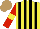 Silk - Yellow, black stripes, red sleeves with yellow armlets, light brown cap