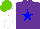 Silk - Purple, blue star, white sleeves, light green cap