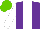 Silk - Purple, white stripe, sleeves, light green cap
