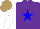 Silk - Purple, blue star, white sleeves, light brown cap