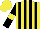 Silk - Yellow, black stripes, black sleeves with yellow armbands, yellow cap