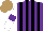 Silk - Purple, black stripes, white sleeves with purple armbands, light brown cap