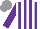 Silk - White, purple stripes, sleeves, grey cap