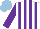 Silk - White, purple stripes, sleeves, light blue cap