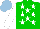Silk - Green, white stars, sleeves, light blue cap