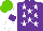 Silk - Purple, white stars, white sleeves on purple armbands, light green cap