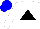 Silk - White, black triangle, blue cap