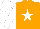 Silk - Orange, white star front and back, white sleeves with brown and white cap