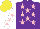 Silk - Purple, pink stars, white sleeves with pink stars, yellow cap