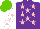 Silk - Purple, pink stars, white sleeves with pink stars, light green cap