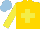 Silk - Gold, yellow cross, sleeves, light blue cap