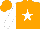 Silk - Orange, white star front and back, white sleeves