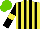 Silk - Yellow, black stripes, black sleeves, yellow armbands, light green cap