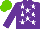 Silk - Purple, white stars, light green cap