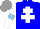 Silk - Blue, white cross of lorraine , white sleeves with lightblue armbands, grey cap