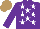 Silk - Purple, white stars, light brown cap