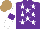 Silk - Purple, white stars, white sleeves on purple armbands, light brown cap