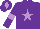Silk - Purple, mauve star, armlets and diamond on cap